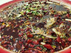 -东吴霸王兔(松青路店)