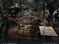 -湖南省地质博物馆