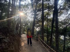 -广州市帽峰山景区