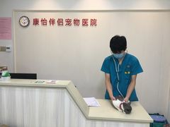-瑞派康怡24h宠物医院·犬猫医疗中心·微创绝育(瑞景分院)
