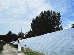 -圣露庄园·亲子活动乐园·露营·团建婚礼