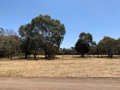 -威勒比开放式动物园