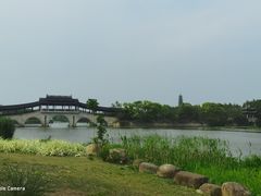 -长广溪湿地公园