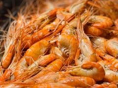 -碧中海汤泉汗蒸酒店