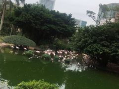 -九龙公园