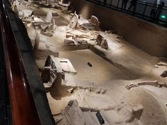 -洛阳周王城天子驾六博物馆