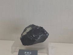 -安徽省地质博物馆