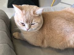 -平行世界·猫咖(首经贸店)