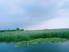 -苏州太湖湖滨国家湿地公园