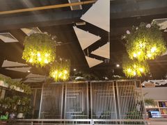 -四季合味椰子鸡(南山大冲店)