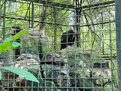 -海南热带野生动植物园
