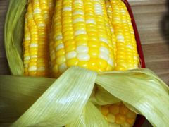 玉米-光明刘冰乳鸽店(光明法政北路店)