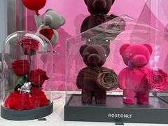 -ROSEONLY诺誓(沈阳万象城店)