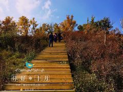 -苏木山森林公园
