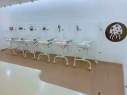 -海豚湾高端月子会所(黄浦店)