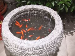 -吴记酱骨炖菜馆(康安路店)