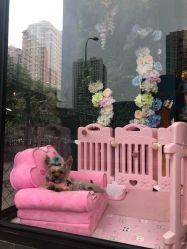 -南玥美学·美甲美睫美肤