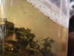 -奈雪的茶(亨特国际广场店)