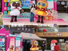 -大湾区中央湿地公园