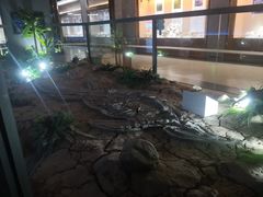 -抱璞文化展示中心