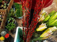 -双季花艺园艺市场(浦东店)
