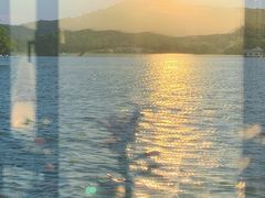 -杭州西湖柳莺里酒店
