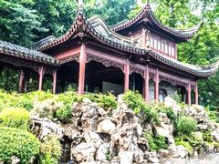 -九龙公园