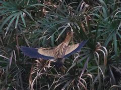 -重庆彩云湖湿地公园