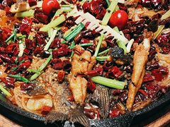 -老板恋上鱼(恒隆广场店)