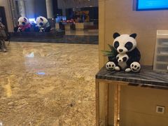 -成都保利公园皇冠假日酒店(熊猫基地店)