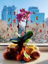 -北京新世纪儿童医院