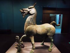 -广西壮族自治区博物馆