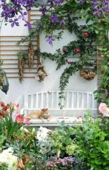 -摩瘦纤体订制减肥