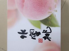 -老袁家蜜桃农场·阳山水蜜桃