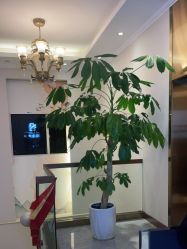 -私家美林护肤造型