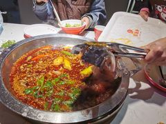 -蜀滋香鲜鱼美蛙火锅(339店)