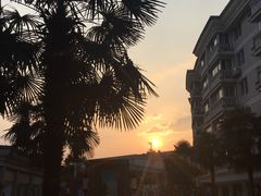 -浙江越秀外国语学院