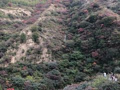 -黄花溪