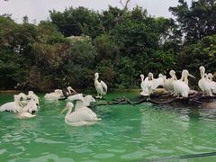 -珠海长隆海洋王国