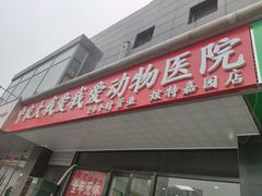 -中农大我爱我爱动物医院·核磁CT·猫病·24小时夜诊中心(石佛营店)