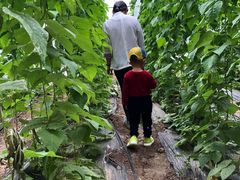 -万源龙顺度假庄园生态观光园