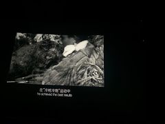 -北京英嘉国际影城(金源CINITY店)