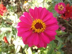 -永定河休闲森林公园