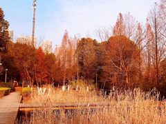 -梅溪湖公园
