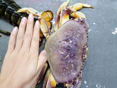 -三亚相缘海鲜·烧烤·糟粕醋(三亚湾店)