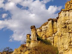 -元谋土林景区(物茂土林)