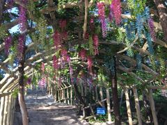 -牛鱼嘴原始生态风景区