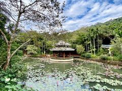 -三亚亚龙湾人间天堂鸟巢度假村