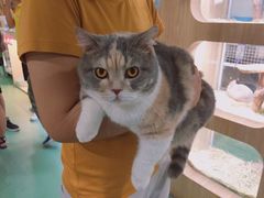 -藦茜花园宠物主题亲子互动体验馆(国顺东路店)