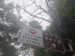 -火炉山森林公园